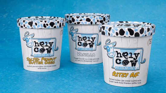 Holy Cow Ice Cream Cafe (Burlington)