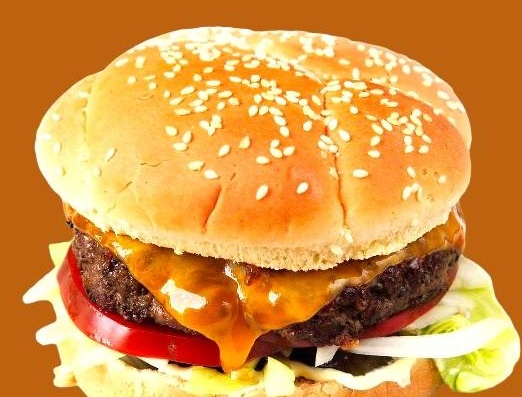 Burger  T N Roll