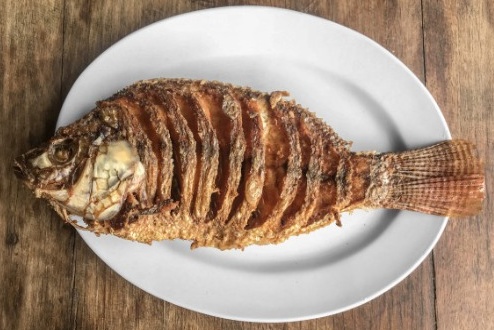 Tilapia