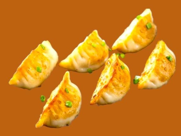 Gyozas au Poulet
