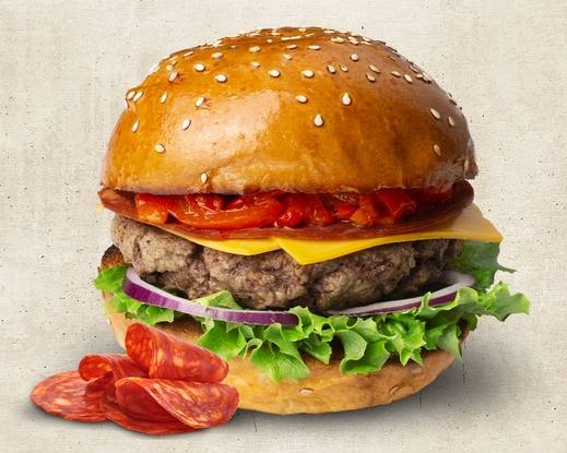 Mexican burger