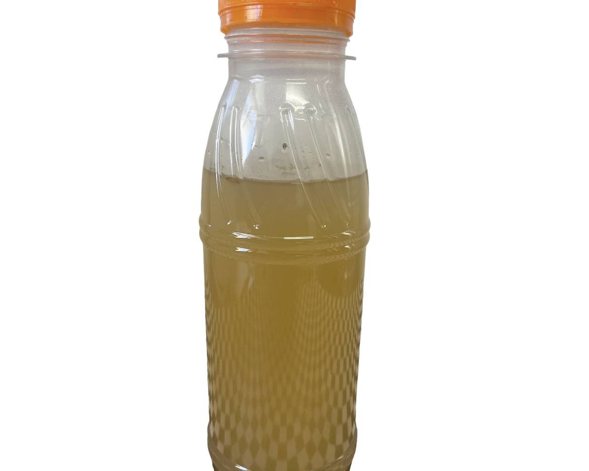 🥤JUS DE GIMGEMBRE