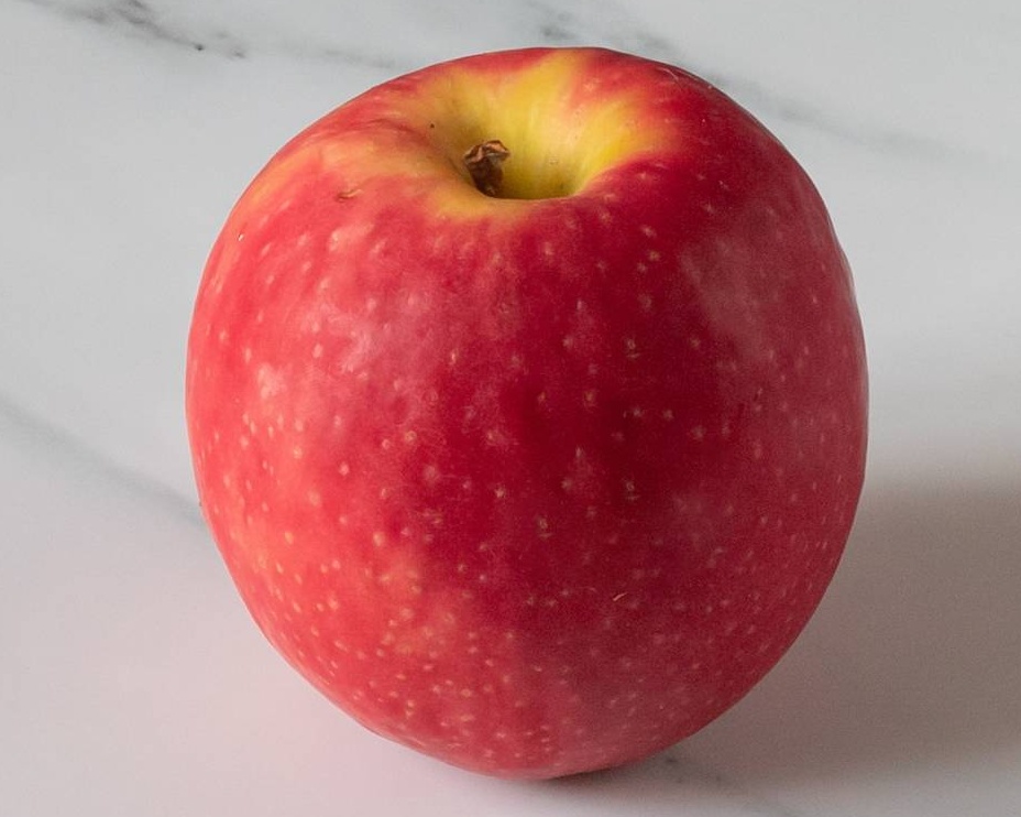 FRUIT DE SAISON