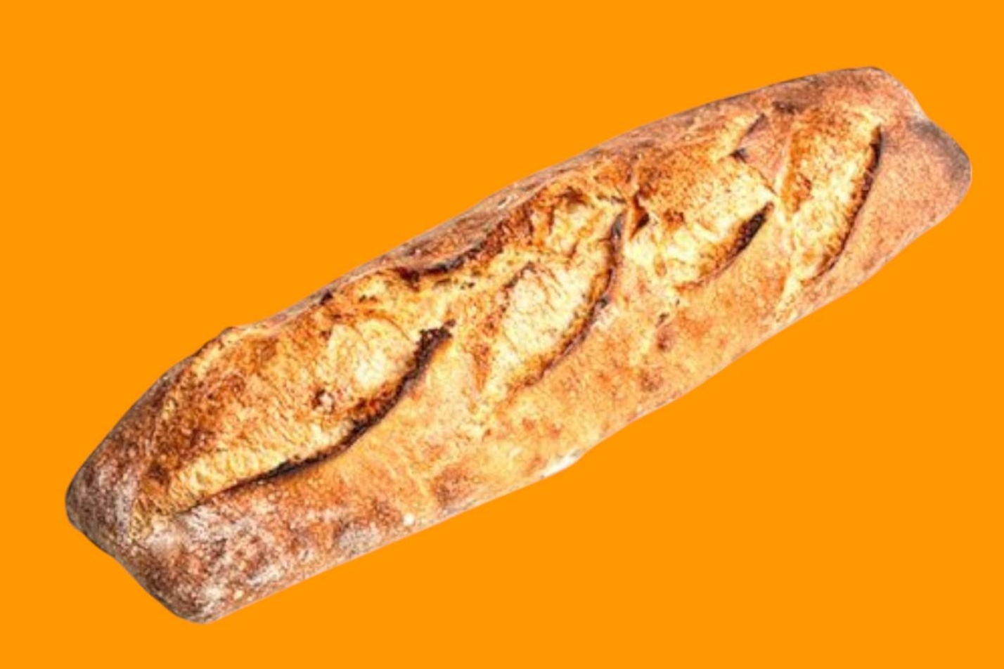 Baguette tradition🥖