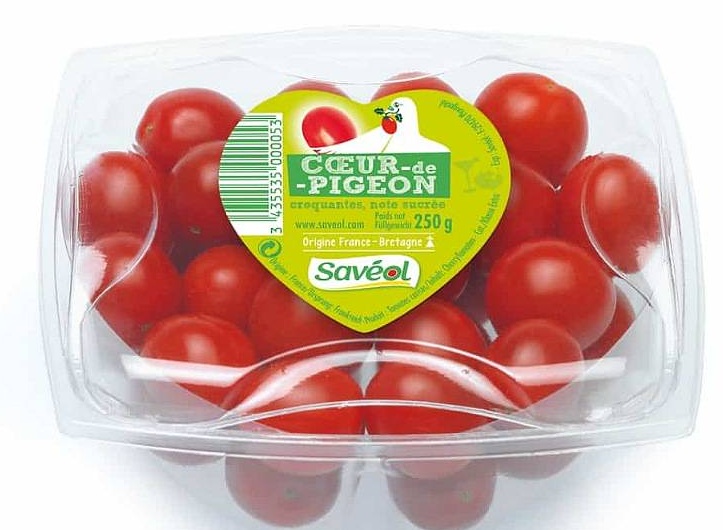 Tomate cœur de pigeon