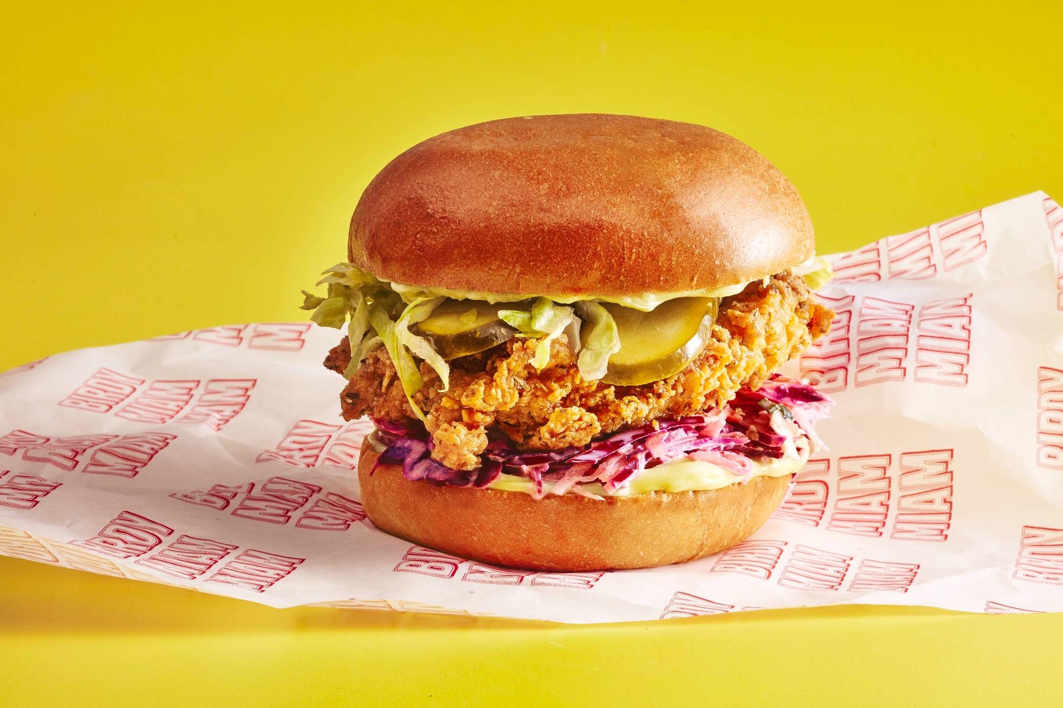 🐔Birdy Burger