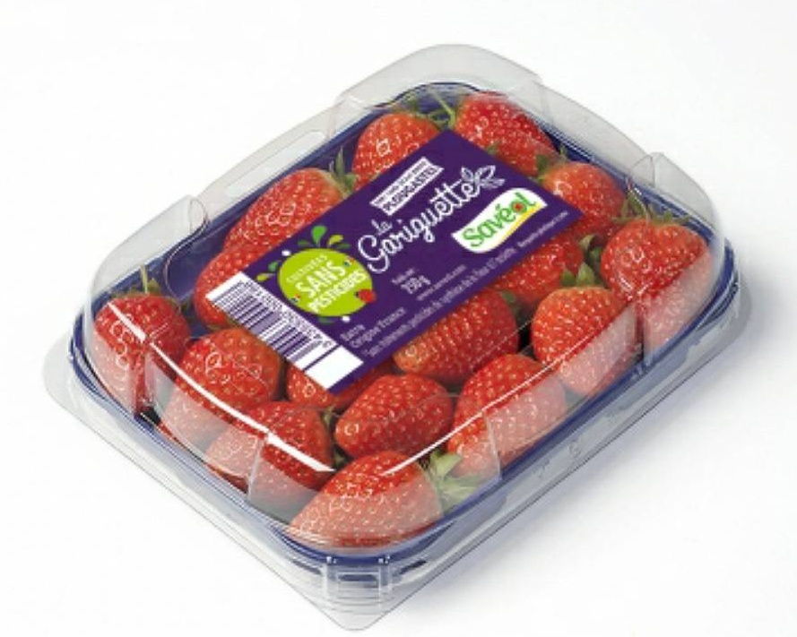 Fraise gariguette 250g