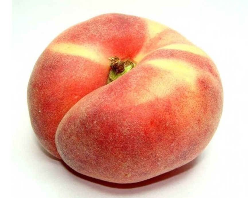 Pêche Plate 500g