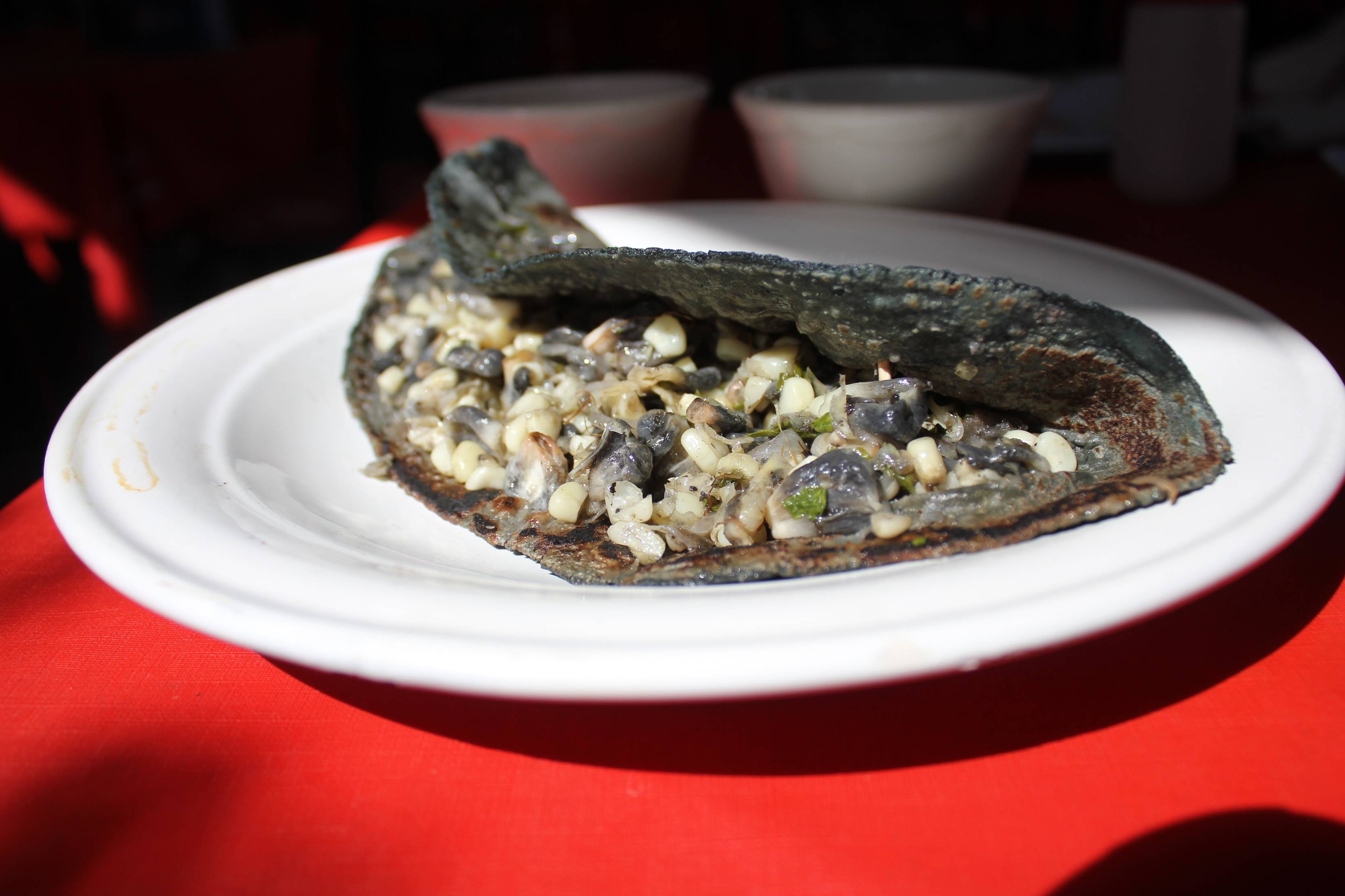 Quesadilla Huitlacoche