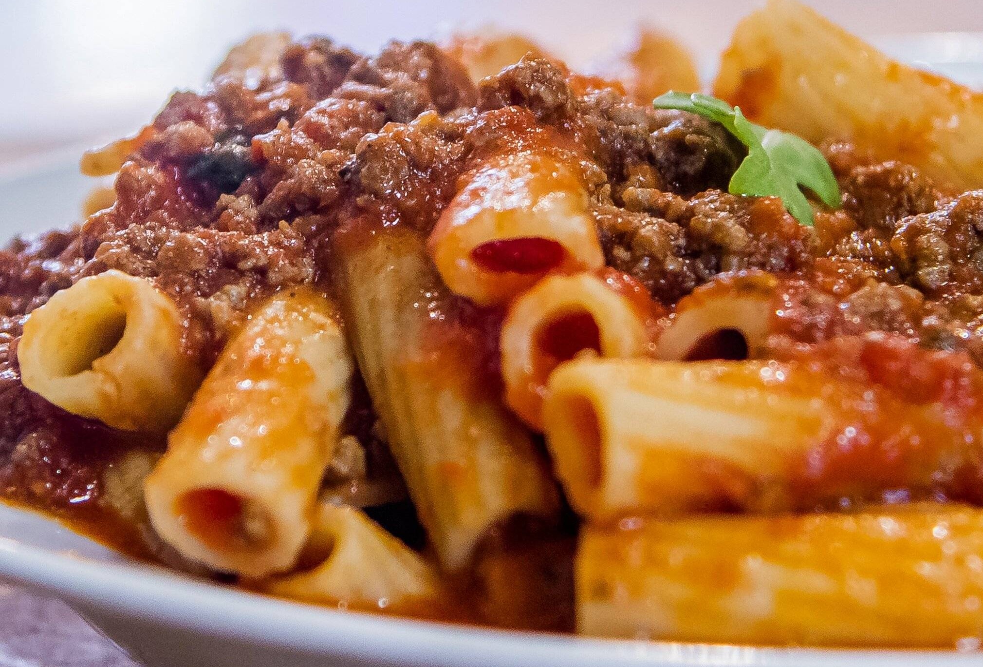 Bolognese