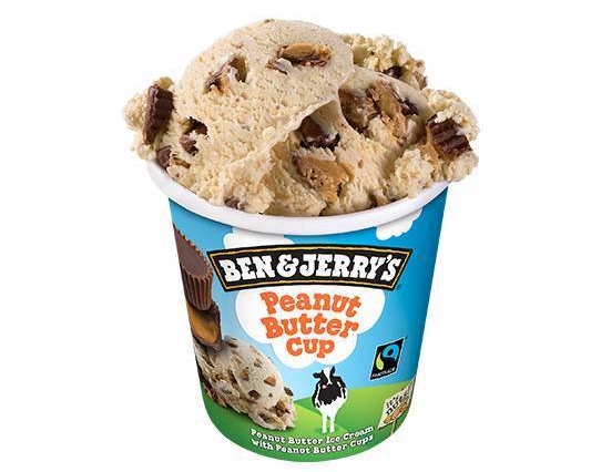 🍦Ben & Jerry's Peanut Butter 465ml