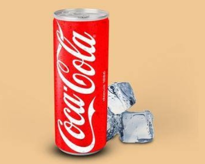 🥤 Coca-Cola 33 cl