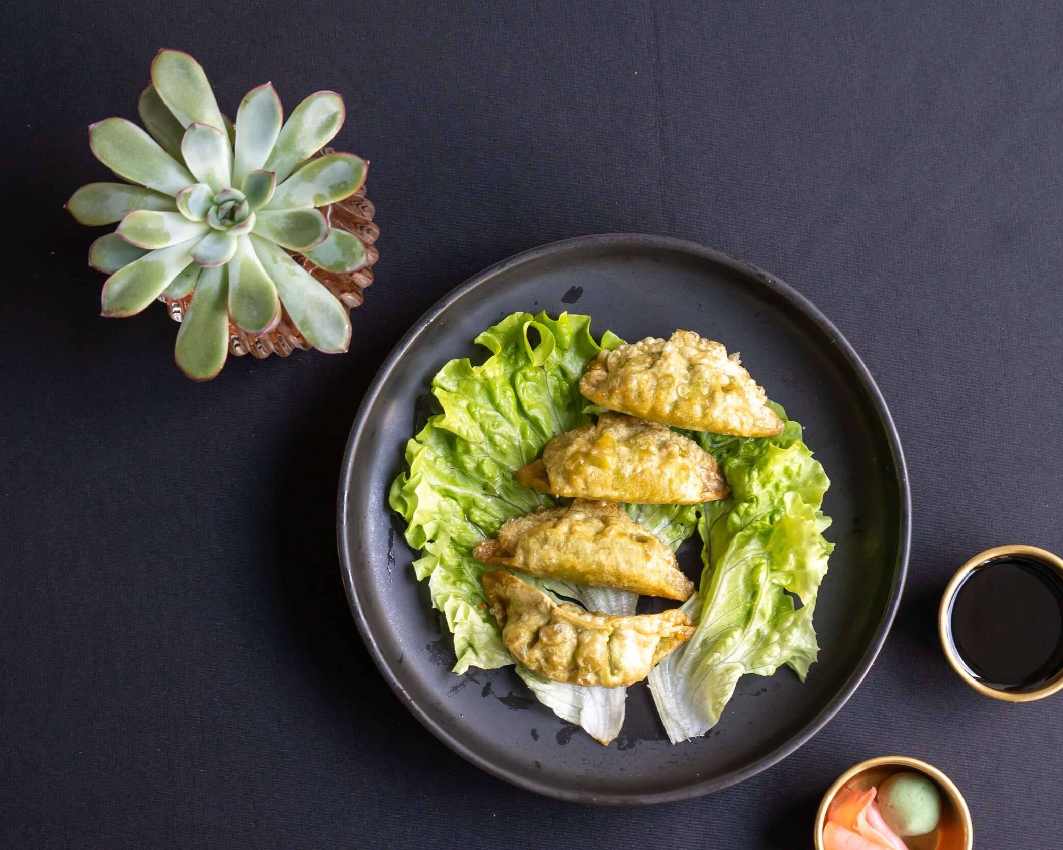 Gyoza Légumes