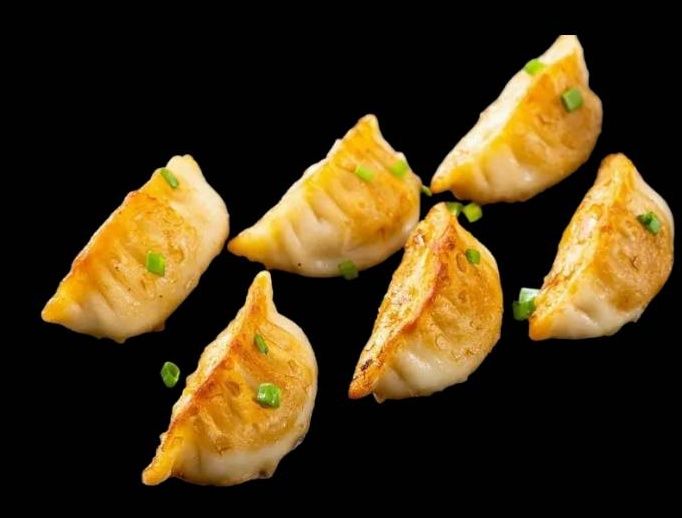 Gyozas aux Poulet