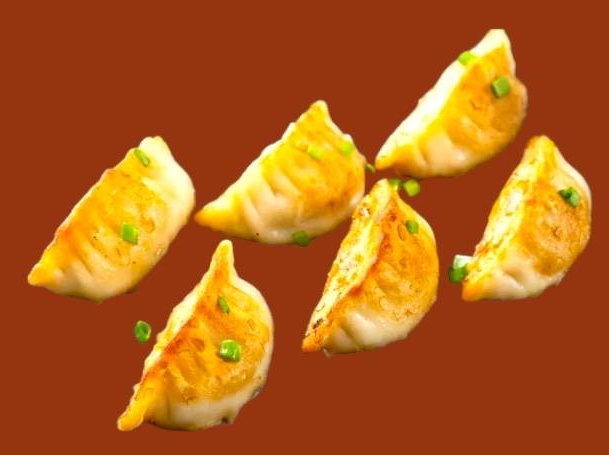 Gyozas au Poulet