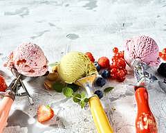 Ice Cream Snob