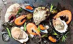 Nine Seafood
