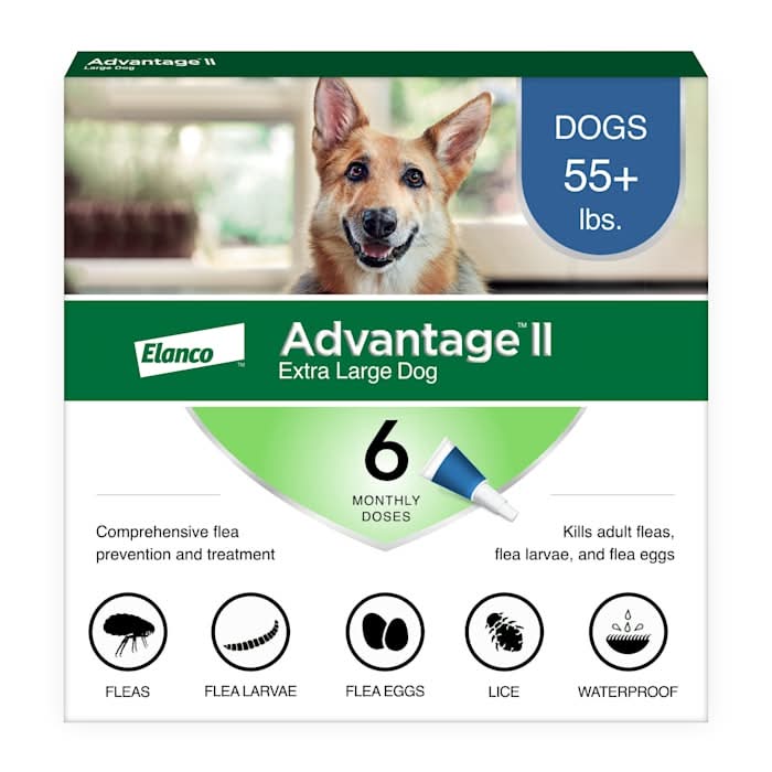 Advantage Vet-Recommended Flea Treatment & Prevention for X-Large Dogs, Count of 6