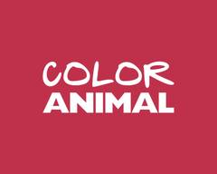 Color Animal