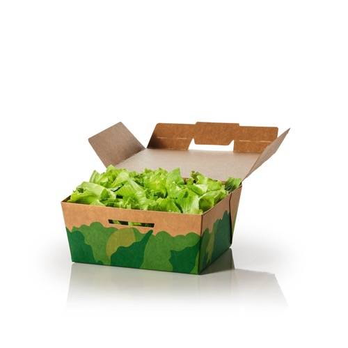 Kleiner grüner Salat