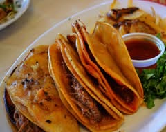 Tacos de Barbacoa el Patrón