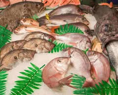 Pescados Solís Aparicio S L