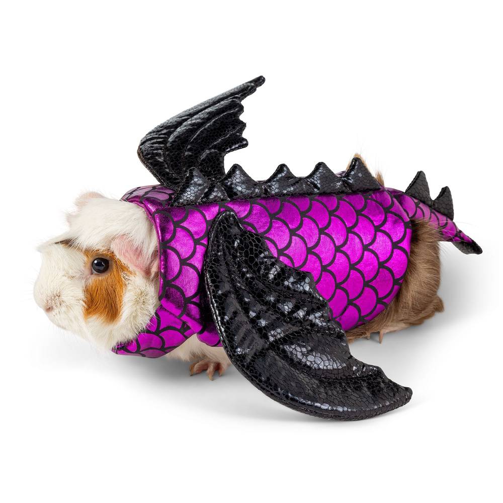 PET HALLOWEEN Thrills & Chills Dragon Small Pet Costume