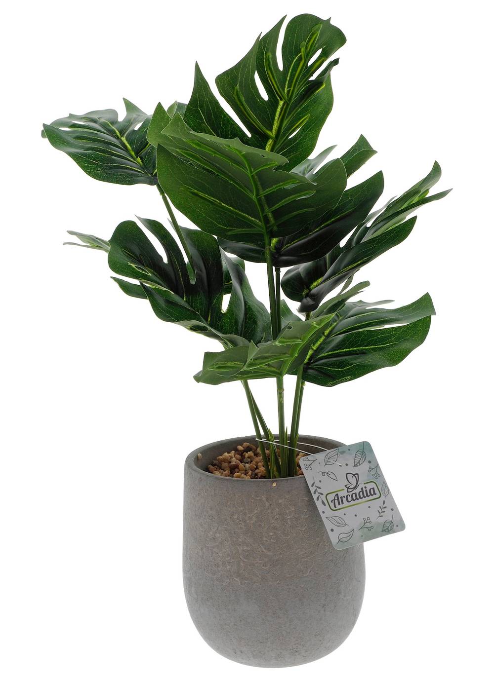 Arcadia Potted Tropical Plant in Cement Pot