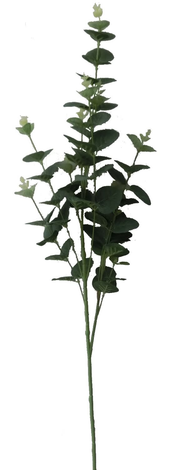 Krea · Planta decorativa follaje eucalipto (400 g)