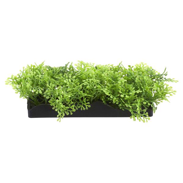 Penn Plax Green Aquarium Bunch Plant, Small