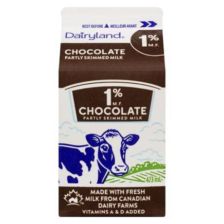 Dairyland Partly Skimmed Milk (473 ml) (chocolate)