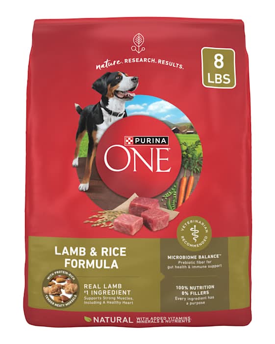 Purina ONE Lamb & Rice Formula Dry Dog Food, 8 lbs.