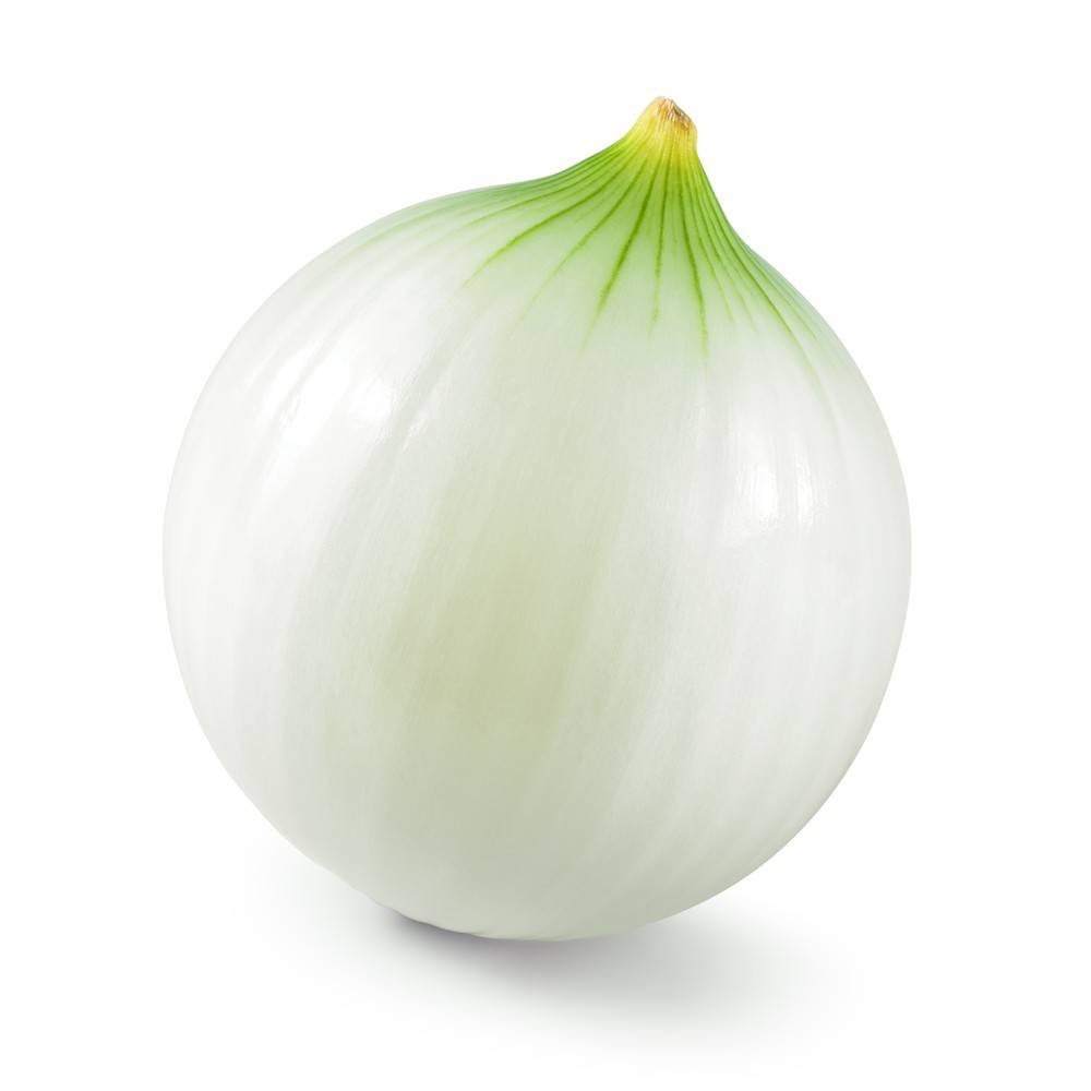 White Onion - each