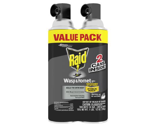 Raid (14-ounce wasp & hornet killer 33, 2 pack)