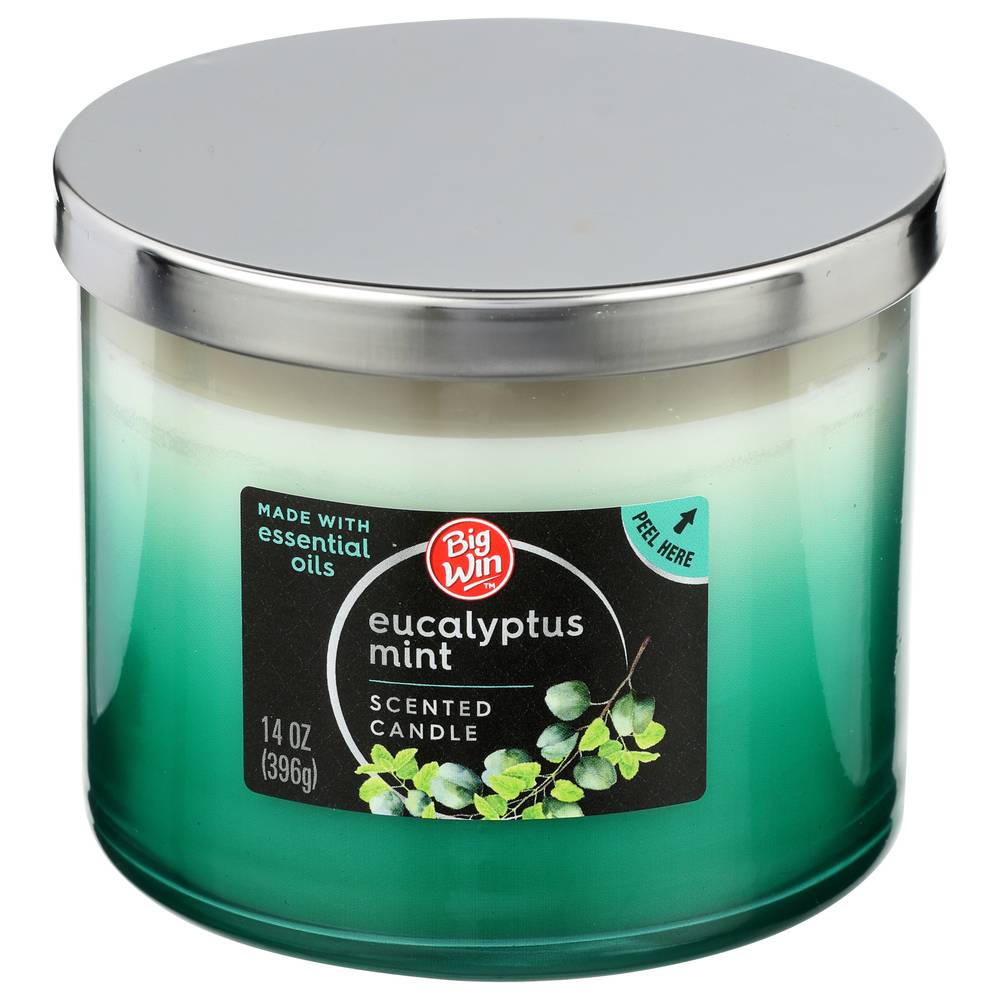 Big Win 3 Wick Candle with Essential Oils Eucalyptus Mint (14 oz)