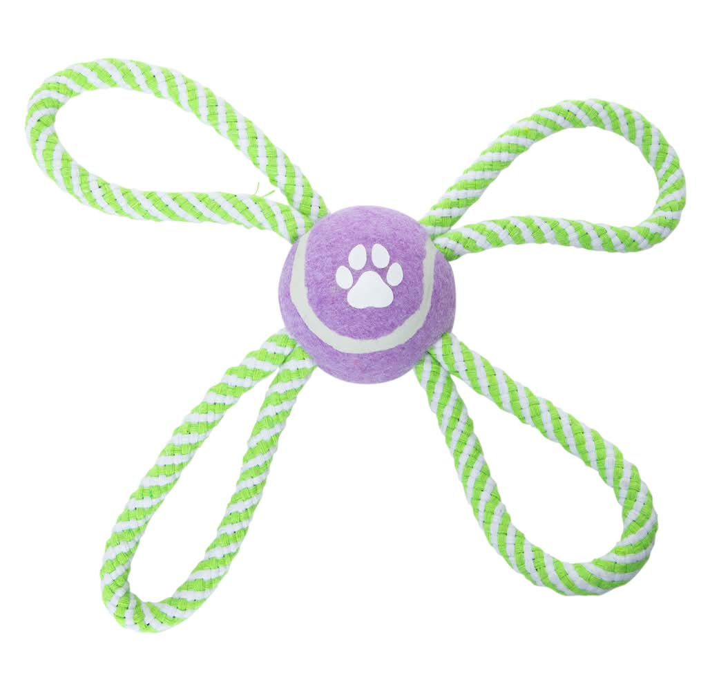 Quad Rope Dog Toy 8.66in x 8.66in Purple