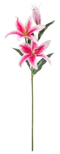 Ashland Casablanca Lily Stem