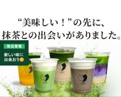 【茶せんで点てた本格抹茶】KOIEN MATCHA