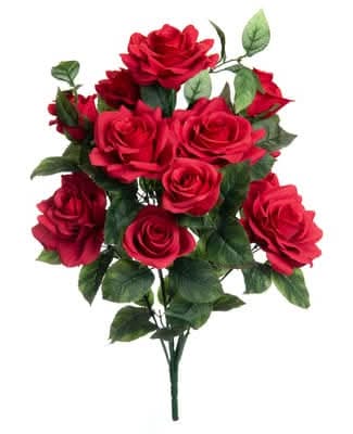 Ashland Red Rose Bush, 21 in