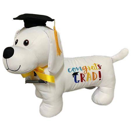 Modern Expressions Graduation Autograph Toy