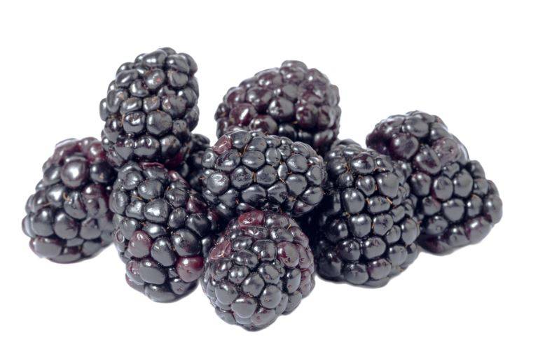 Driscoll - Blackberries