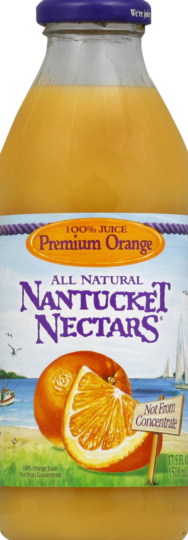 Nantucket nectars orange mango best sale