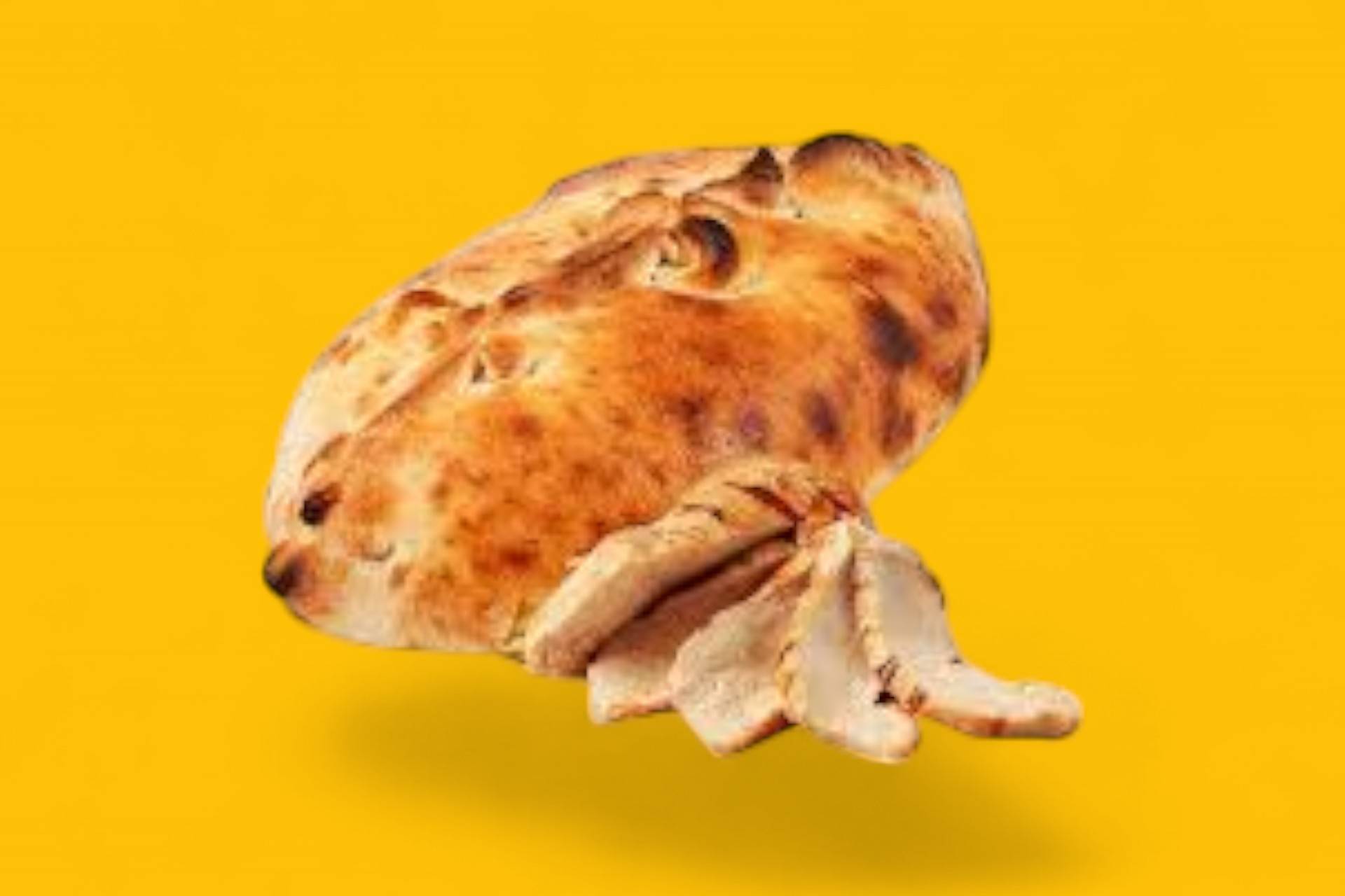 TUNA 🌯🐟