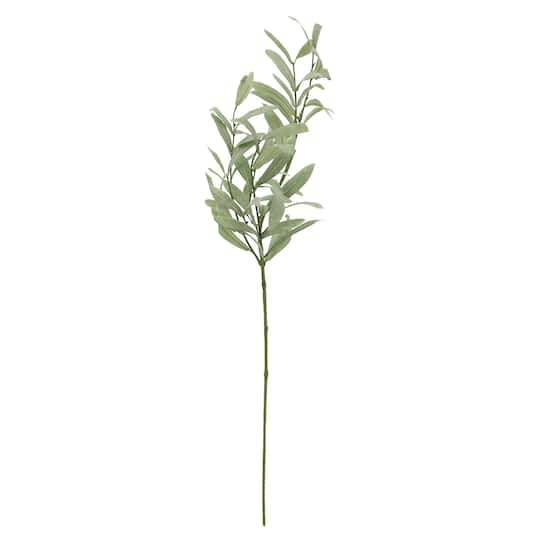 Green Olive Branch Stem By Ashland