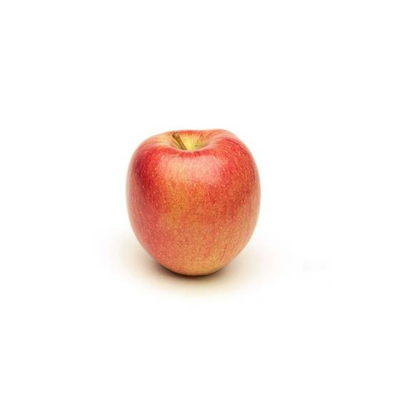 Pomme Gala pièce x1