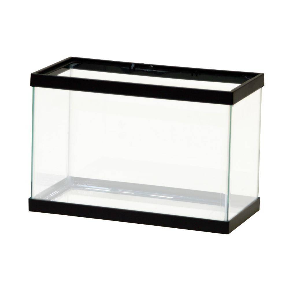 Aqueon Standard Glass Rectangle Aquarium Clear Silicone (black)