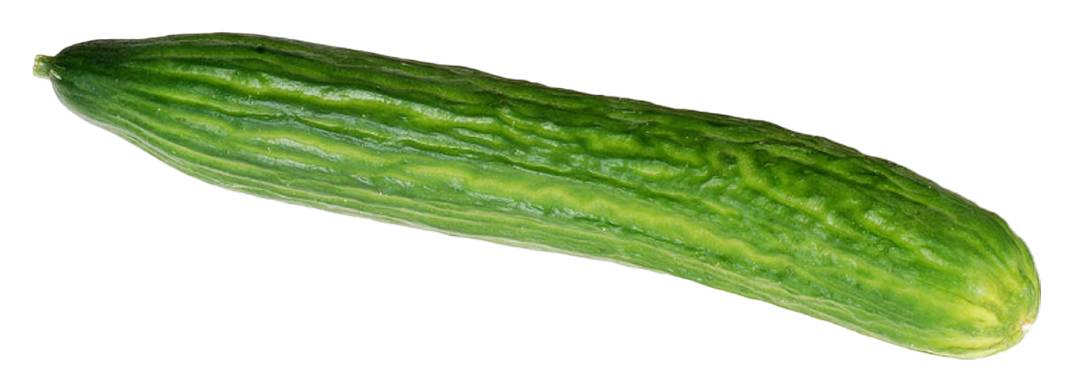 English Cucumber