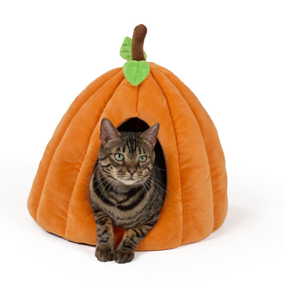 Thrills & Chills® Halloween Pumpkin Hut Cat Bed, ONESIZE 16 IN L X 16 IN W (Color: Multi Color)