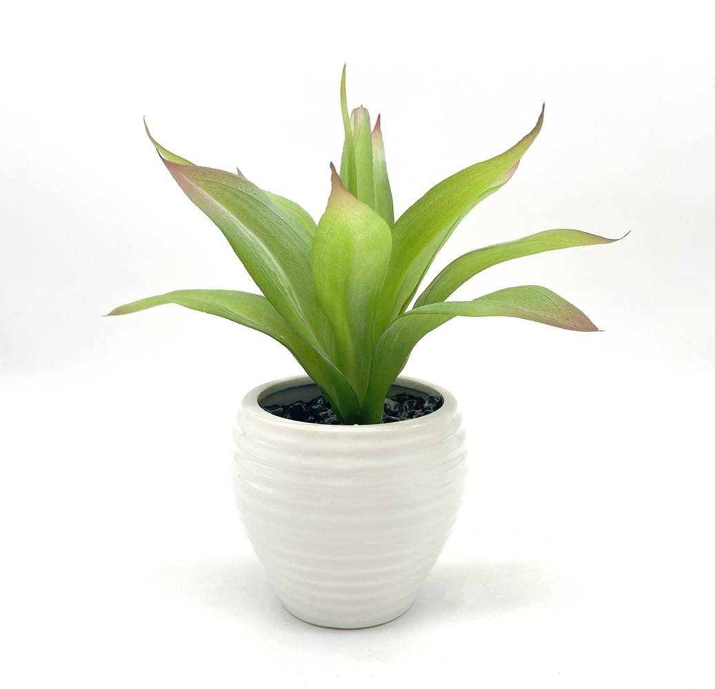 Nearly Natural 9-in Green Indoor Desktop Agave Artificial plant | P1936-LW