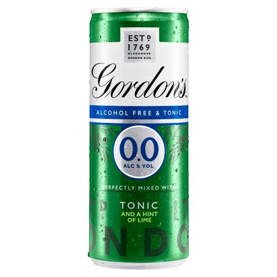 Gordon\'s Uber With Free Spirit Delivery Eats | (250ml) and a Hint you | Alcohol Lime Of 0.0% near Tonic